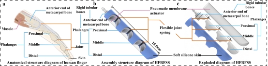 bevictor伟德官网